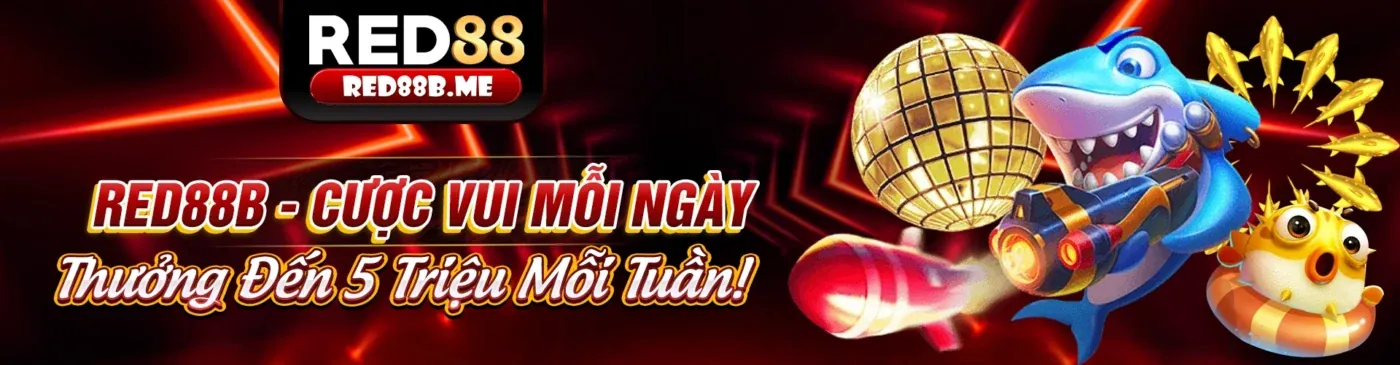 Hình ảnh đại diện Chương trình VIP độc quyền của win55 link nhà cái win55